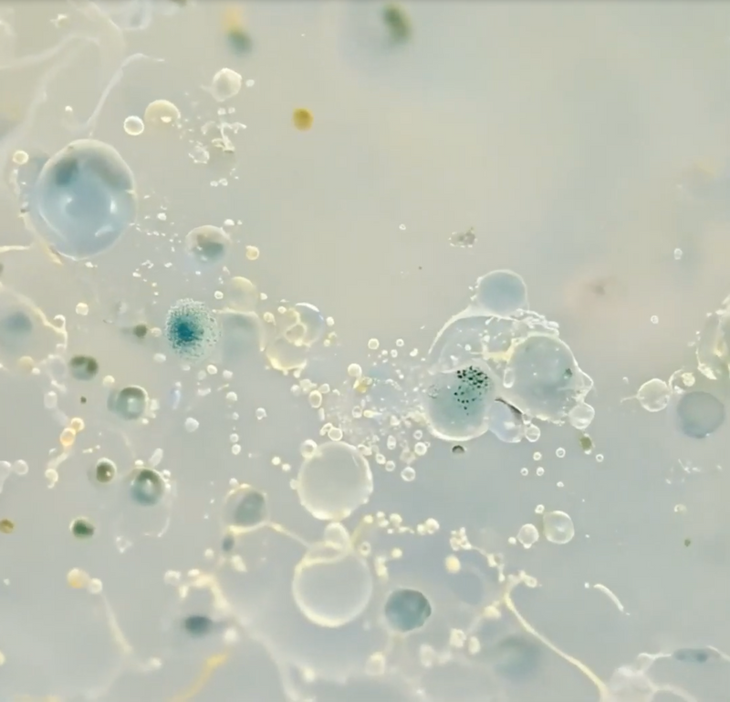 Pioneering Biotechnology Sourcing