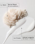 L'Édition Bonjout