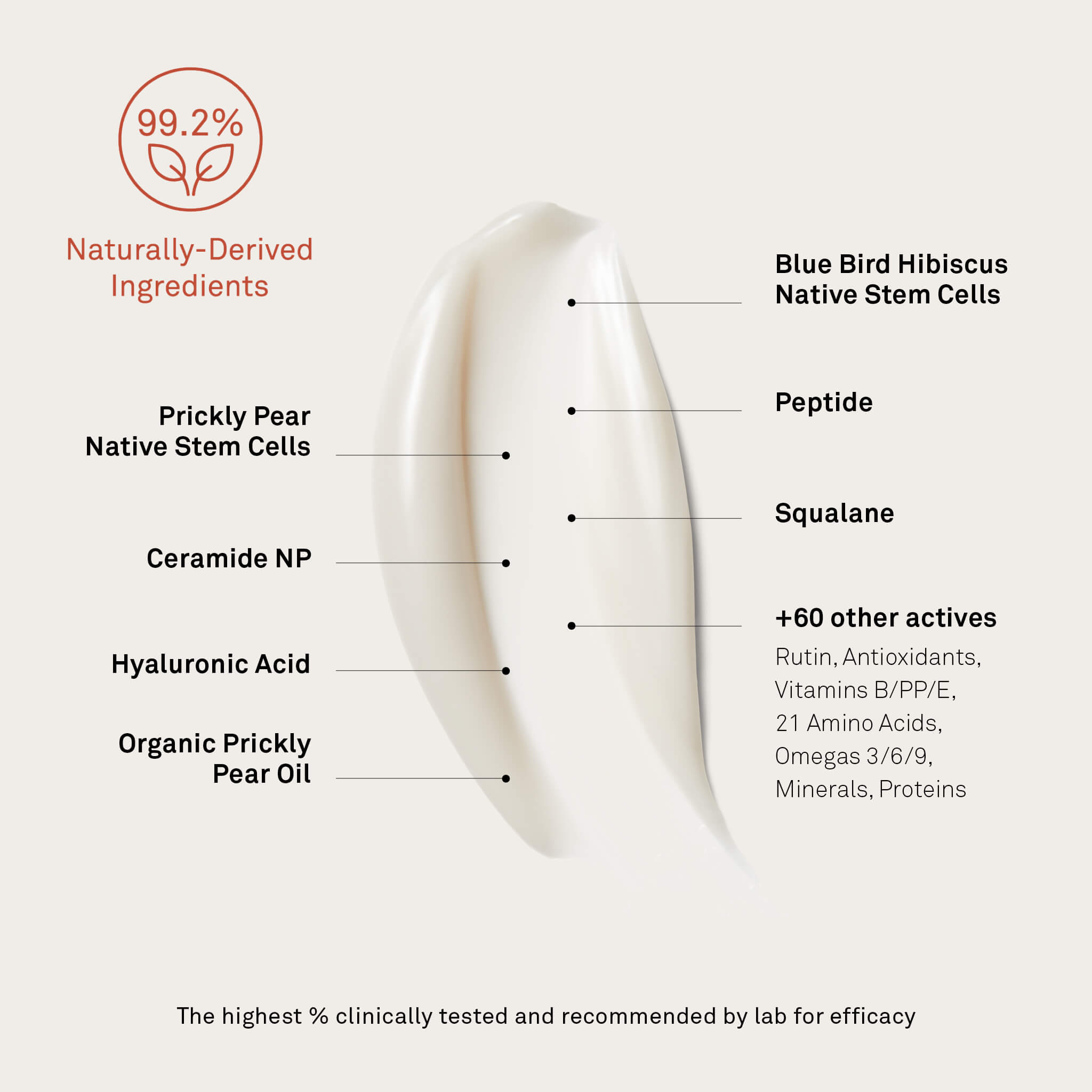 Breakdown of ingredients in Bonjout Beauty's Le Balm product