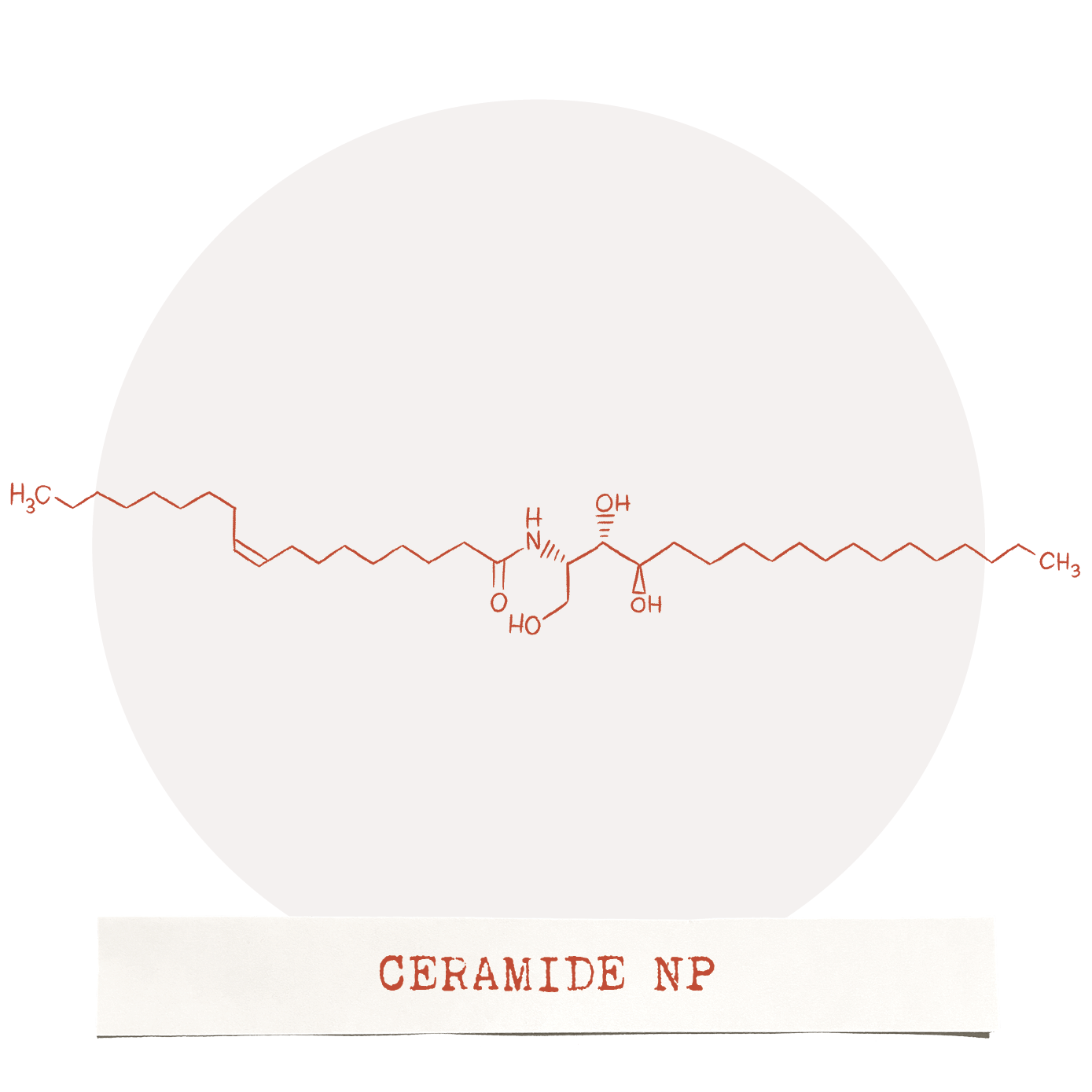 Ceramide