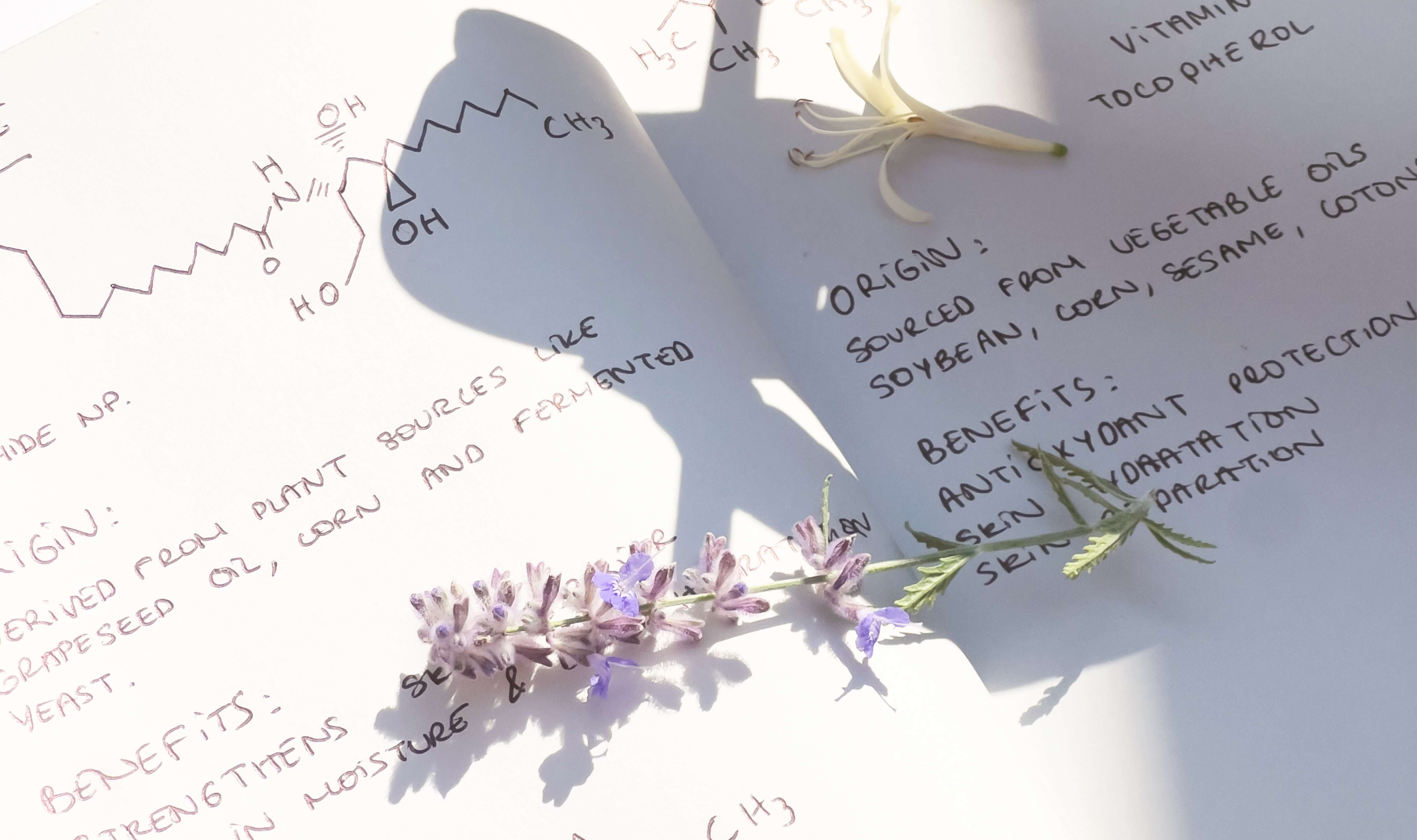 Antioxidants in Skincare