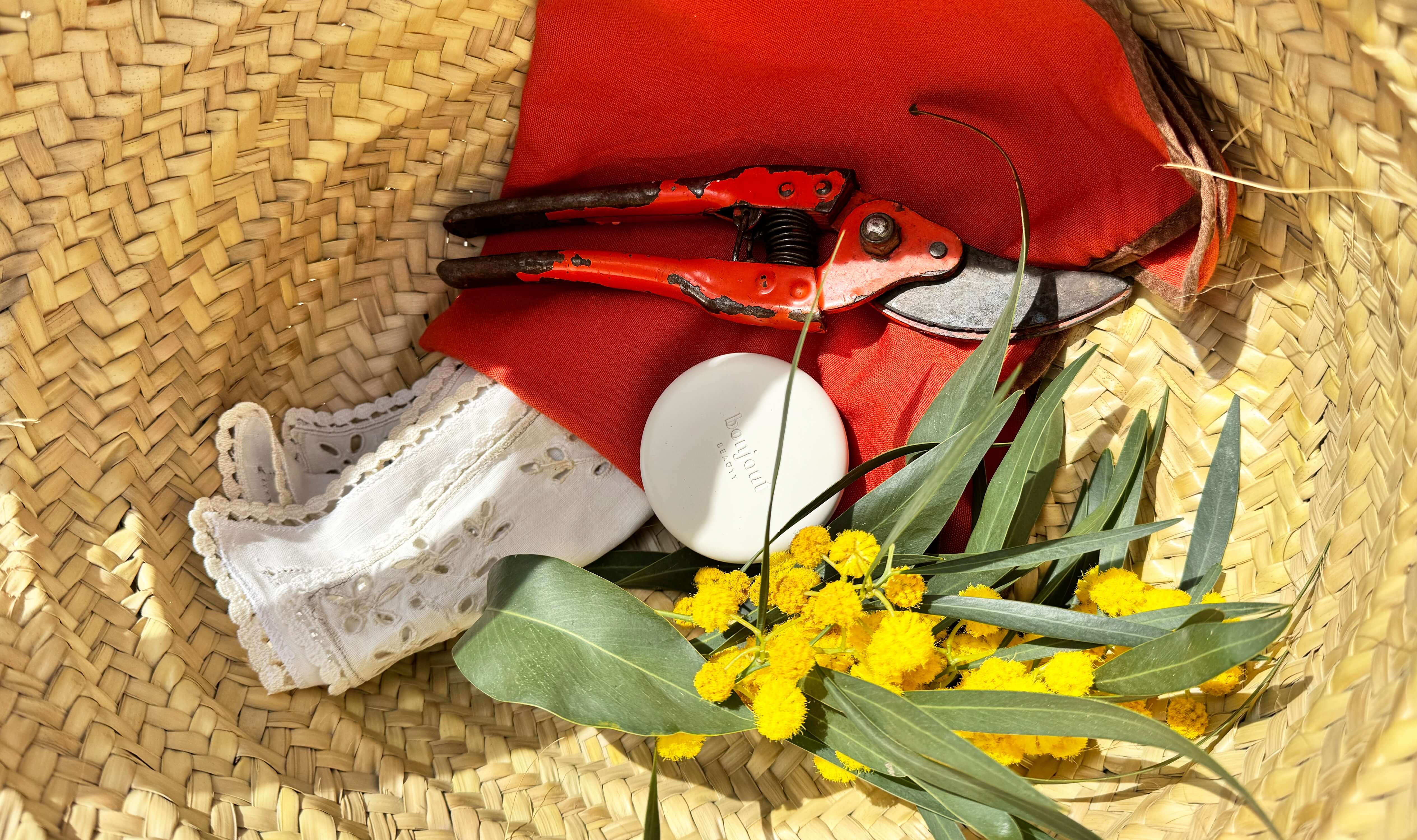 French Regional Skincare Traditions: From Provence to Paris