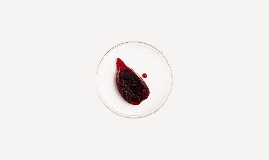 Prickly Pear Native Stem Cells