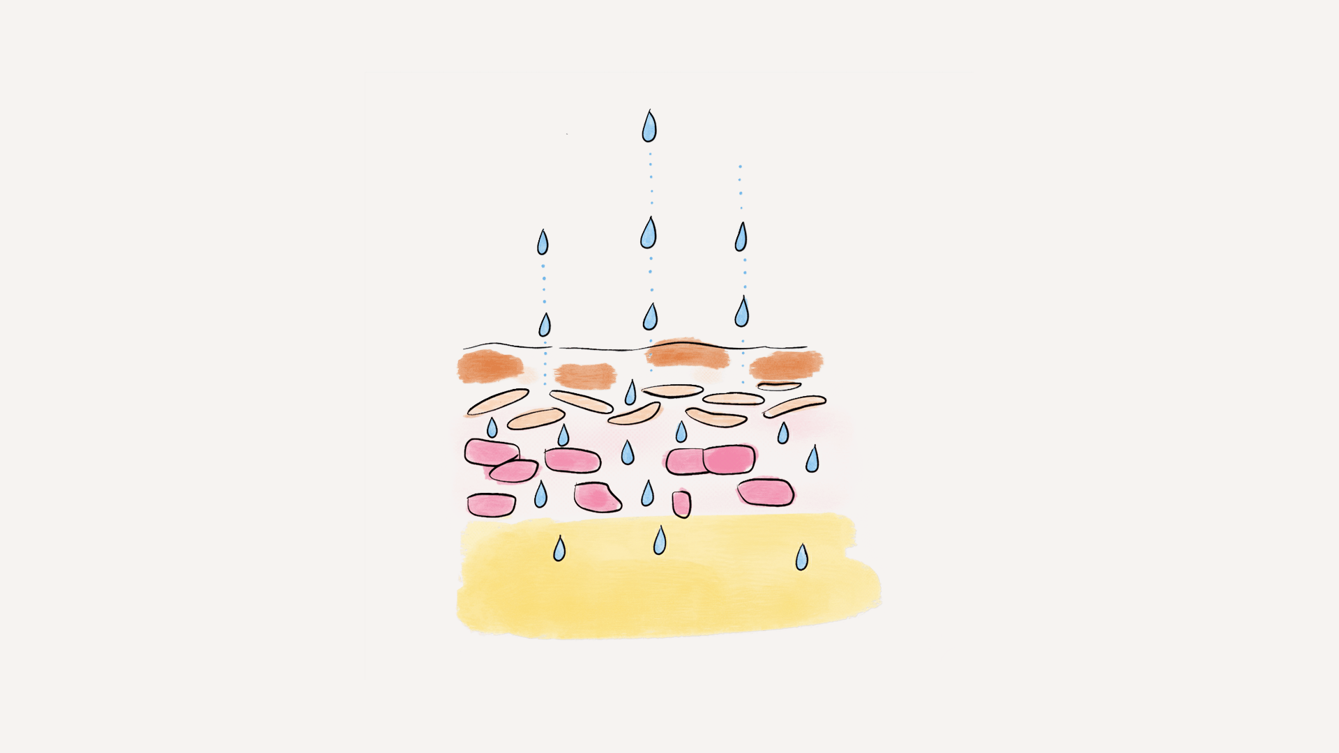 What is Trans-Epidermal Water Loss (TEWL) and why does it matter for skin care?