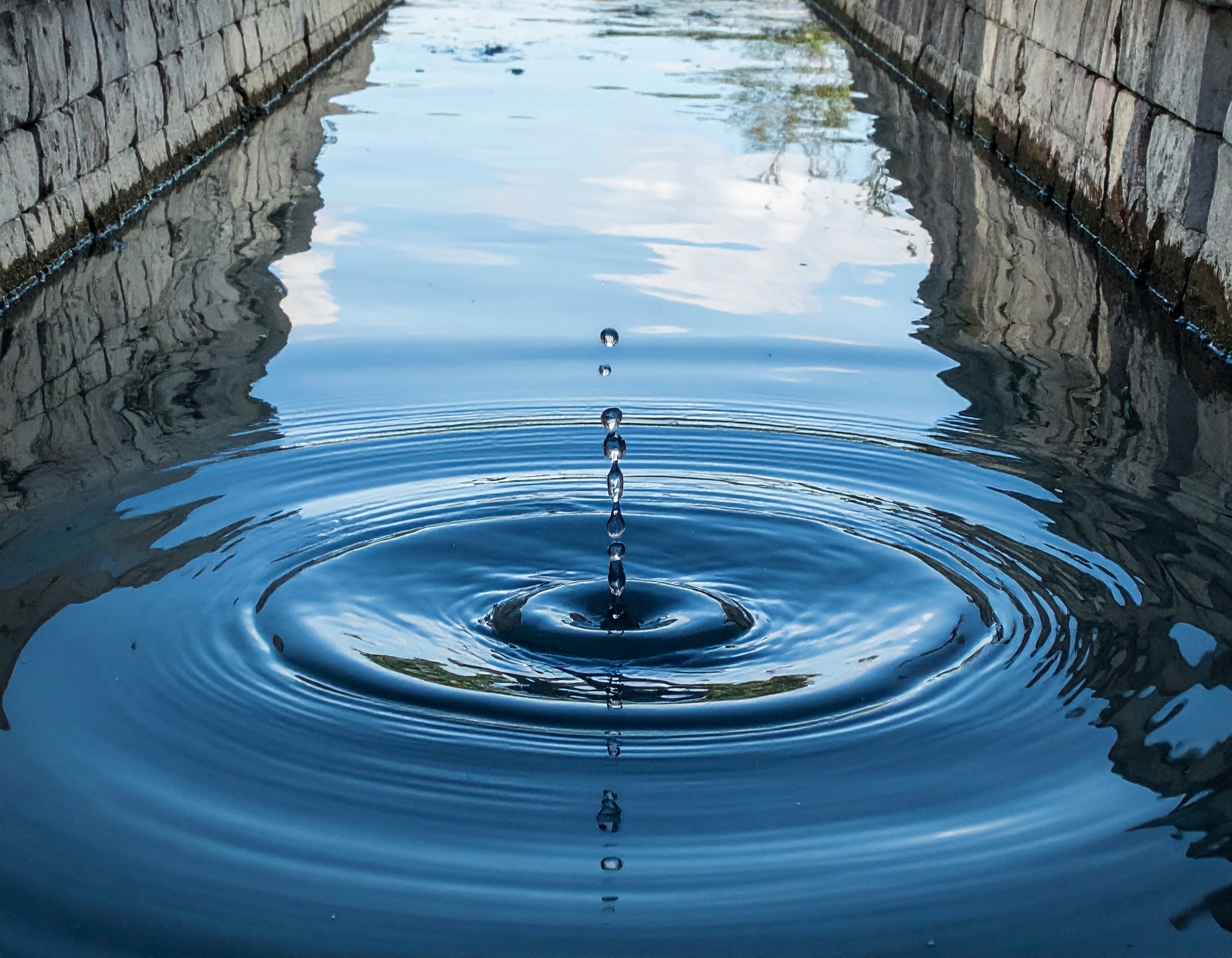 Trans-Epidermal Water Loss (TEWL)