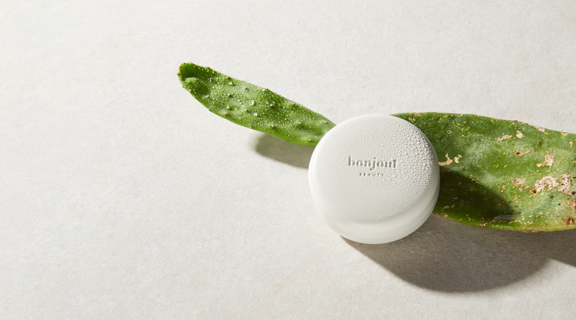 Bonjout Beauty's Le Balm product next to Prickly Pear plant