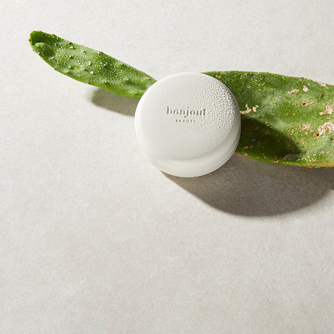 Bonjout Beauty's Le Balm product next to Prickly Pear plant