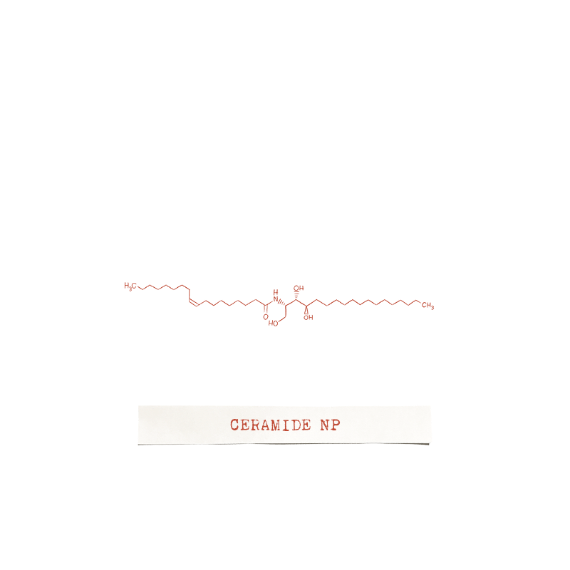 Icon of Ceramide NP