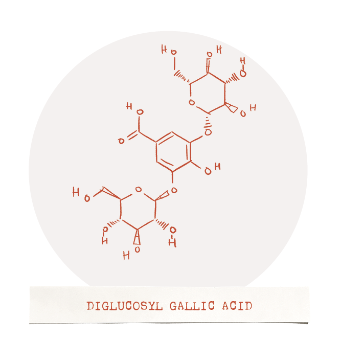 Antioxidant Complex