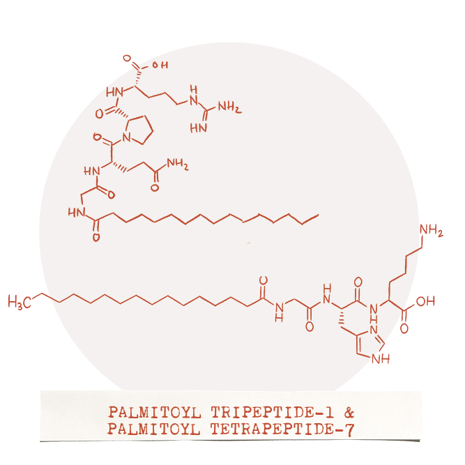 Multi-Peptide Complex