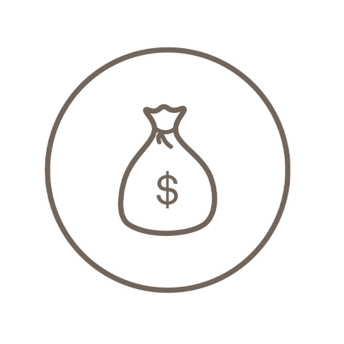 Icon of bag with money sign
